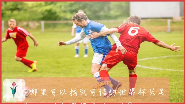 在哪里可以找到可信的世界杯买足球入口进行冠军竞猜玩法?